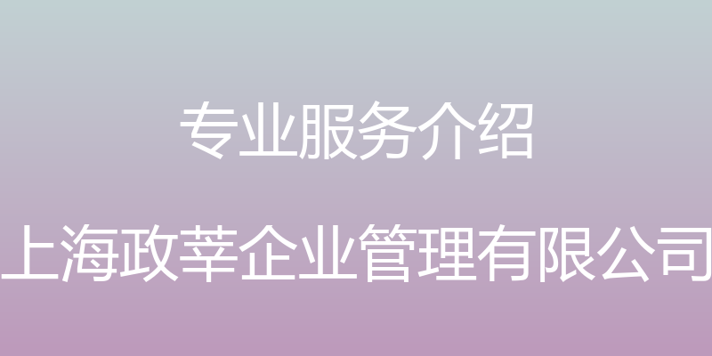 专业服务介绍 - 上海政莘企业管理有限公司